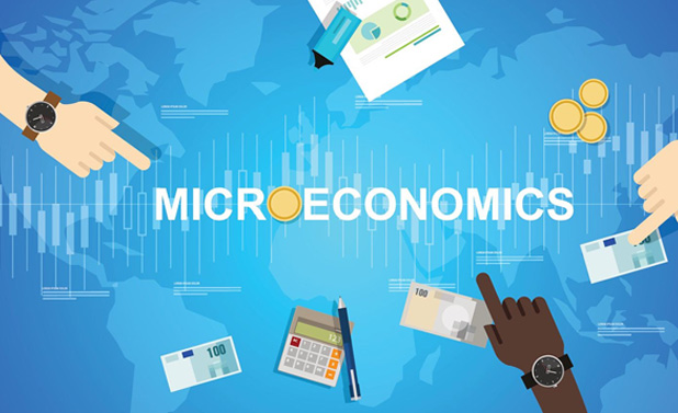 MSON Microeconomics Student Named Finalist in Essay Contest